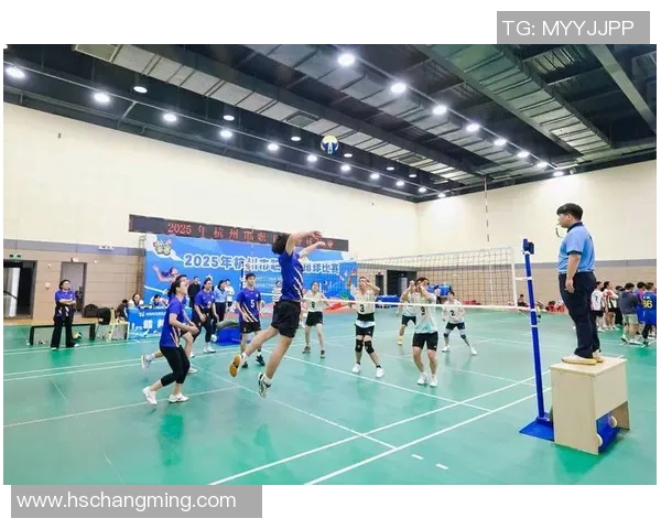 杭州排球队快攻战术解析与深度剖析排球竞技的魅力与挑战